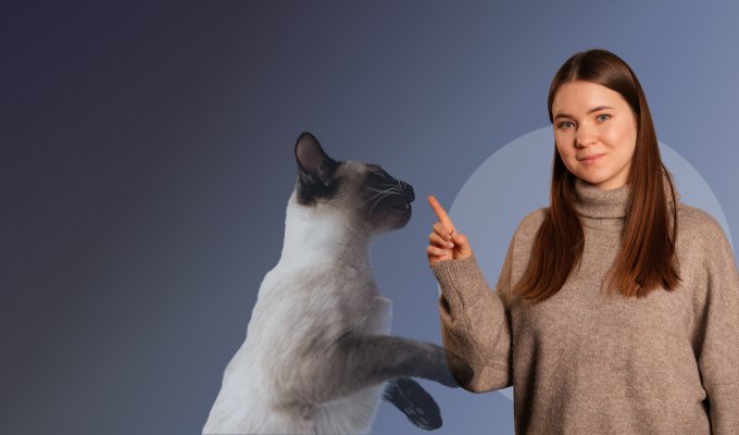 Как понимать кошку