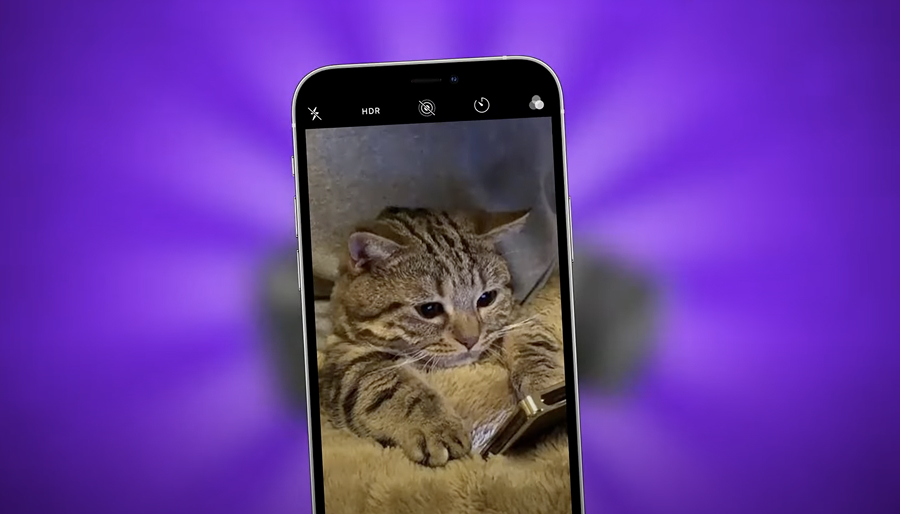 Смартфон с котиком